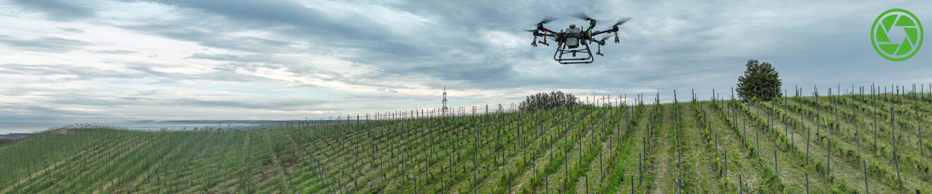 Focus topic: Viticulture flying high – with spray drones and state-of-the-art nozzle technology